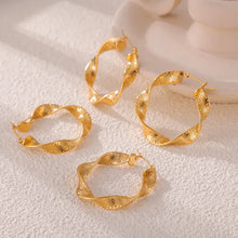 Titanium Steel Twisted Earrings Earrings