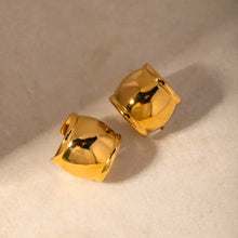 Stainless Steel C-Hoop Earrings Earrings