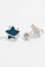 925 Sterling Silver Zircon Star Earrings Earrings