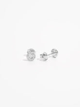 925 Sterling Silver Zircon Star Stud Earrings Earrings