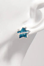925 Sterling Silver Zircon Star Earrings Earrings