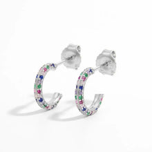 925 Sterling Silver Contrast Zircon Earrings Earrings