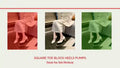 Square Toe Block Heels Pumps video preview