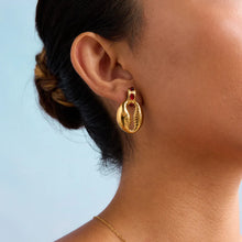 18K Gold-Plated Stainless Steel Shell Shape Earrings