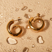 18K Gold-Plated Stainless Steel Earrings Earrings