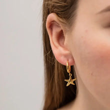 18K Gold-Plated Stainless Steel Star Earrings Gold One Size Earrings