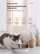 Gray 2-in-1 automatic water dispenser and food bowl pet dispenser