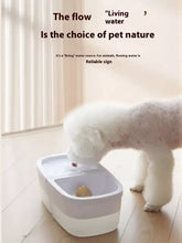 White 2-in-1 automatic water dispenser and food bowl pet fountain, modern design