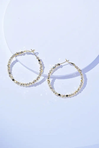 Alloy Hoop Earrings Gold One Size Earrings