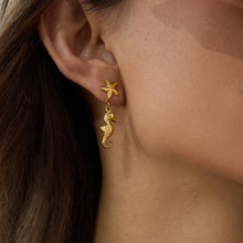 18K Gold-Plated Starfish Seahorse Earrings Gold One Size