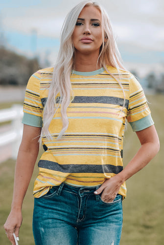 Multicolored Striped Round Neck Tee Shirt Multi