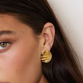 Stainless Steel Shell Shape Stud Earrings Gold One Size