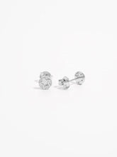 925 Sterling Silver Zircon Star Stud Earrings