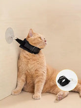 Schwarzes Katzen-Geschirr mit verstellbarer, abnehmbarer Katzen-Saugnapfleine
