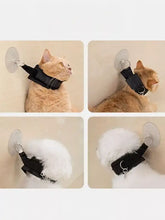 Schwarzes verstellbares Katzenhalsband mit Sicherheitsverschluss und Saugnapfleine