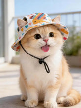 Cute orange and white kitten in adjustable chin strap pet bucket hat