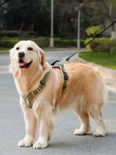 Olive green adjustable reflective pet harness with black straps