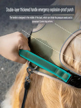 Teal thickened handle on adjustable reflective pet harness in khaki