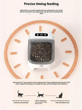Comedero automático para mascotas con plato elevado, gris, pantalla digital 02, croquetas