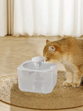 Fuente automática transparente para mascotas con dispensador blanco y sistema de circulación