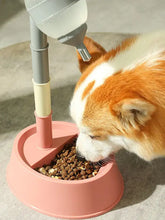 Pink automatic water dispenser pet bowl with gray cream pipes clear top