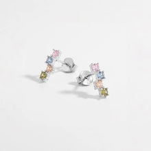 925 Sterling Silver Inlaid Zircon Earrings Silver One Size