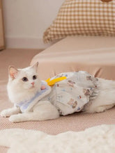 Bow button pet dress on white cat with bear prints