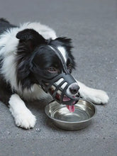 Atmungsaktiver Hundekorbmaulkorb mit schwarzem Netz, verstellbarem Riemen, verstärkten Kanten