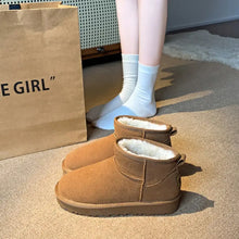 Brown Suede Ankle Boots with Faux Fur Lining for Women Woman Boots