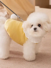 Fluffy white dog in button-down pet jumpsuit with ruffle collar