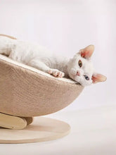 Gemütliches Katzennest mit Kratzseil aus Hanf, beiges gewebtes Bett auf Holzunterlage
