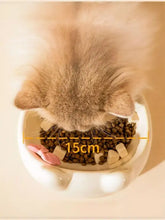 White ceramic pet bowl with paw design and pink bowknot