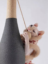 Flauschige helle Katze mit rotem Schal spielt mit Seil an einem Katzenpfosten im Stil einer Champagnerflasche