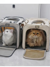 Breathable pet carrier bag with beige gray design, mesh floor, transparent panel, roll-up handles for pet travel