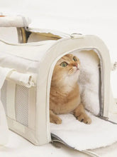 Comfortable breathable pet carrier bag with orange tabby cat inside