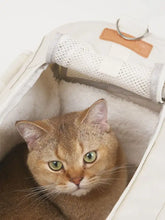 Cream-colored breathable pet carrier bag with mesh panel and padded interior