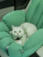 Portable pet car nest mint-green cushion with armrests and strap