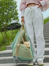 Portable pet car nest with mint-green carrier, transparent front, strap