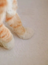 Fluffy orange cats paw on pet nest with thermal insulation