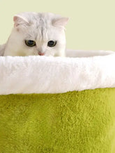 Fluffy white cat in cozy warm round covered pet nest with thermal insulation
