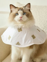 Fluffy cat in cute bear pattern protective pet collar with white collar and beige bear prints