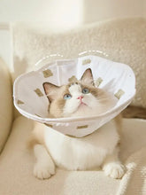 White protective pet cone collar with beige bear patterns on cat