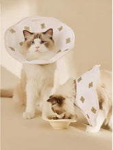 Cat in white protective pet cone with beige bear patterns