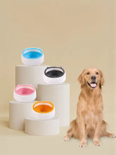 Golden retriever with cute cat ear pet bowls, abs plastic, white base