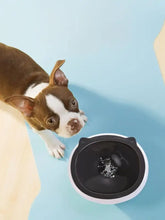 Black and white cat-shaped pet water fountain with abs plastic white base