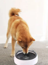 White and black cat ear pet bowls with white base, abs plastic, collapsible