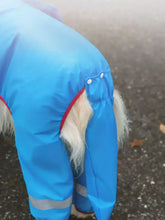 Capa de chuva impermeável para cães estilo dinossauro em azul vivo com acabamento vermelho