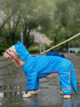 Capa de chuva impermeável para cães estilo dinossauro azul com acabamento vermelho e costas espinhosas