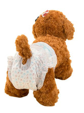 Fluffy brown plush dog in disposable pet diapers with musical note pattern