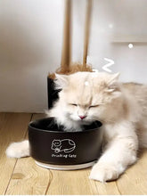 Drinking Cats pattern black ceramic pet bowl with sleeping cat design
